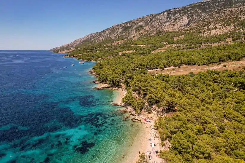 Stunning aerial view of a turquoise seascape with lush pine forests on a summer day.